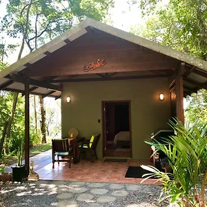 Gunnadoo Hut With Ocean Views And Jacuzzi Lodge Miallo